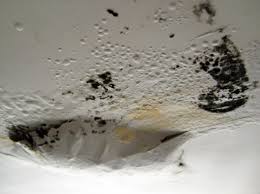 mold-on-ceiling