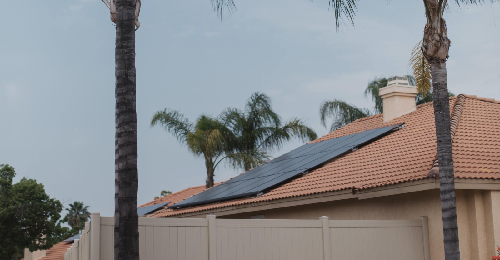 solar panels on roof in between palm trees in california (1)